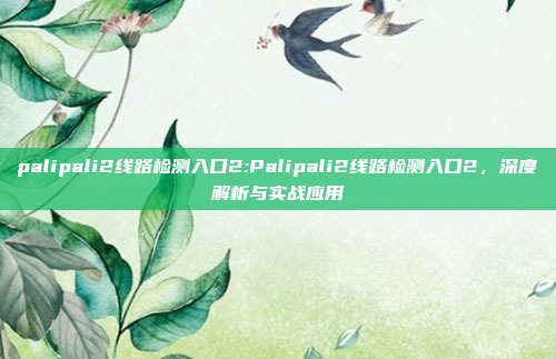 palipali2线路检测入口2:Palipali2线路检测入口2，深度解析与实战应用