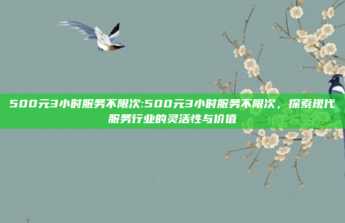 500元3小时服务不限次:500元3小时服务不限次，探索现代服务行业的灵活性与价值