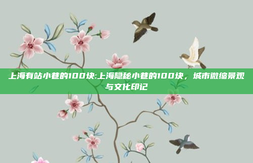 上海有站小巷的100块:上海隐秘小巷的100块，城市微缩景观与文化印记